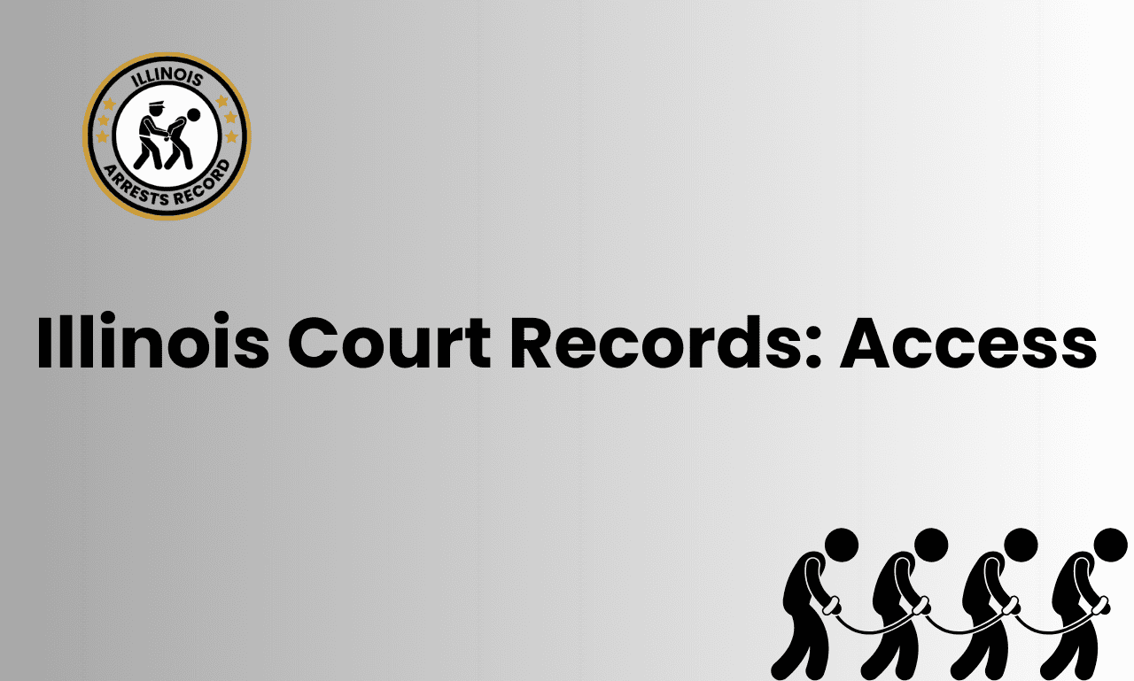 Illinois Court Records Access 3