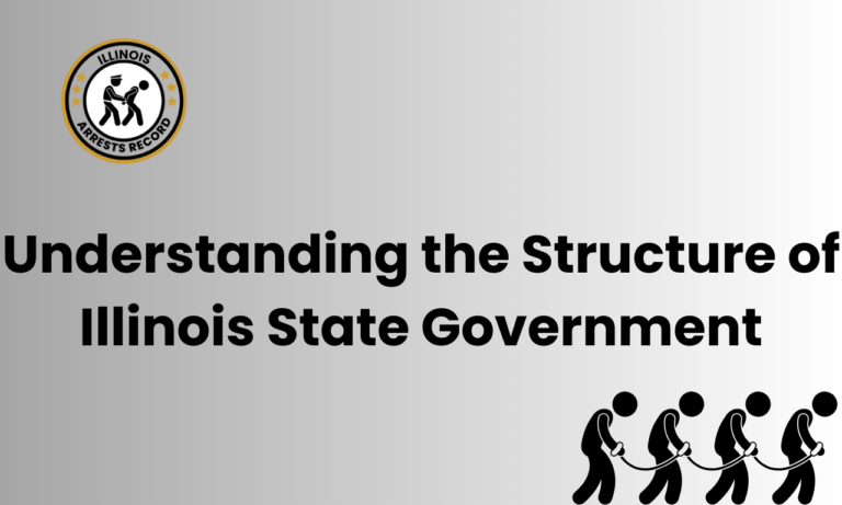 Understanding the Structure of Illinois State Government